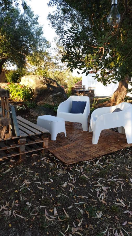 Casa vacanze - Alebea - Olbia