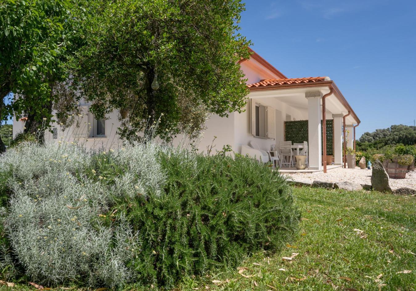 Holiday home - Alebea - *