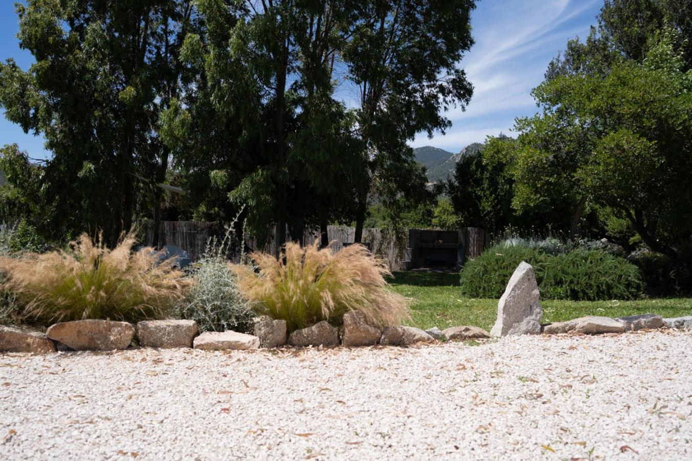 Holiday home - Alebea - Olbia
